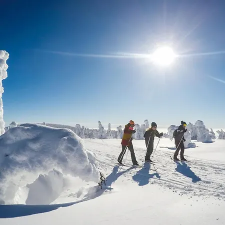 شقة Tyrsovka, Krkonose - Kabinet Svoboda nad Úpou